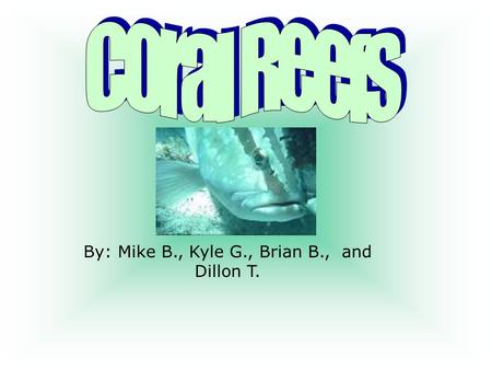 By: Mike B., Kyle G., Brian B., and Dillon T.. People obtain a percentage of their animal protein from fish People in developing countries are extremely.