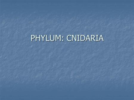 PHYLUM: CNIDARIA.