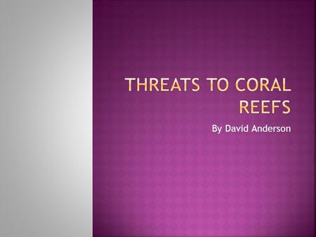 By David Anderson.  During the 1970s and 80s scientist begun extensive research into the changes reefs were going through and if they were human induced.