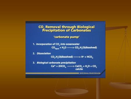 Carbonate Grains. Carbaonate vs Clastic Rks Clastic rocks form from fragments of pre- existing rocks Clastic rocks form from fragments of pre- existing.