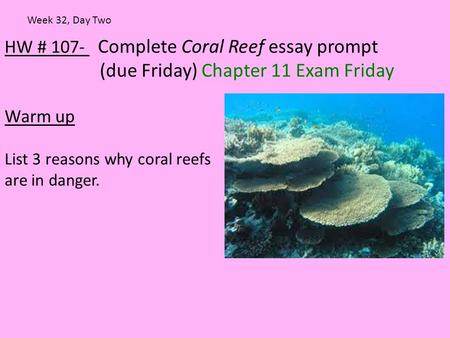 HW # 107- Complete Coral Reef essay prompt (due Friday) Chapter 11 Exam Friday Warm up List 3 reasons why coral reefs are in danger. Week 32, Day Two.