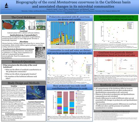 Biogeography of the coral Montastraea cavernosa in the Caribbean basin and associated changes in its microbial communities Jessica K. Jarett 1*, Cara L.