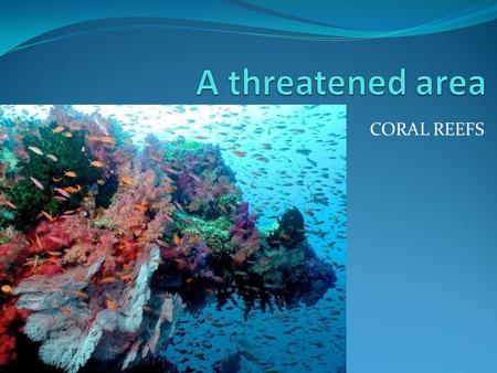 CORAL REEFS. AllenMikeyKristen Toby Sarah Ryuya Sabrina Tae Wan Asra Haris Dillon The Great Barrier Reef: the best PPT is put on the blog. Groups and.