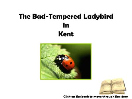 The Bad-Tempered Ladybird in Kent