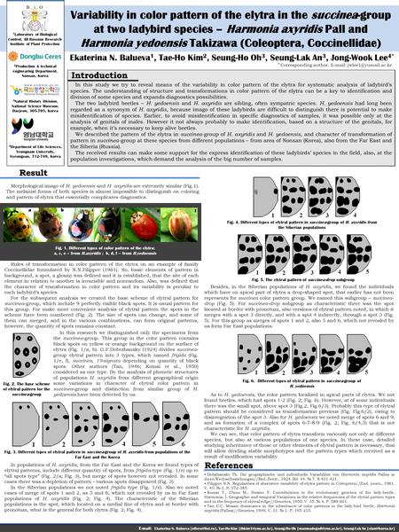 Variability in color pattern of the elytra in the succinea-group at two ladybird species – Harmonia axyridis Pall and Harmonia yedoensis Takizawa (Coleoptera,