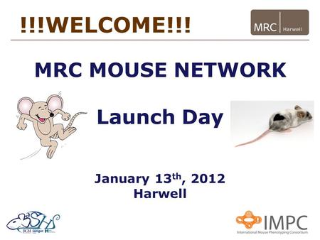 !!!WELCOME!!! MRC MOUSE NETWORK Launch Day January 13 th, 2012 Harwell.