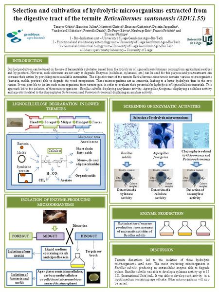 Selection and cultivation of hydrolytic microorganisms extracted from the digestive tract of the termite Reticulitermes santonensis (3DV.1.55) Biofuel.