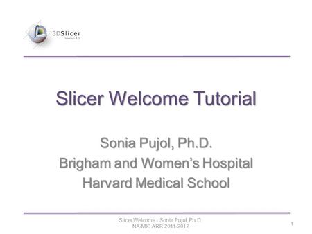 Slicer Welcome Tutorial