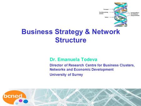 Business Strategy & Network Structure Dr. Emanuela Todeva Director of Research Centre for Business Clusters, Networks and Economic Development University.