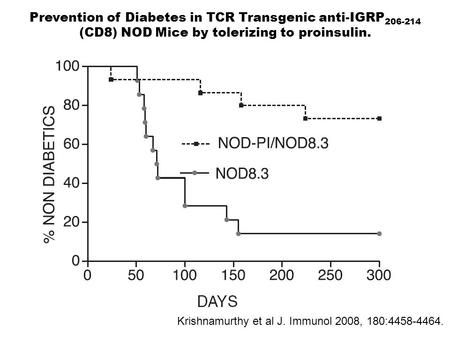 Prevention of Diabetes in TCR Transgenic anti-IGRP 206-214 (CD8) NOD Mice by tolerizing to proinsulin. Krishnamurthy et al J. Immunol 2008, 180:4458-4464.