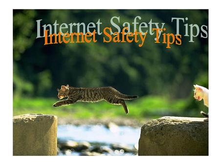 Internet Safety Tips.