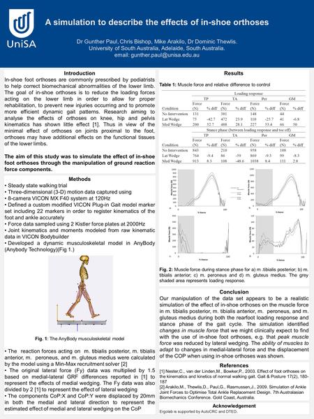 Results Table 1: Muscle force and relative difference to control Fig. 2: Muscle force during stance phase for a) m.tibialis posterior; b) m. tibialis anterior;