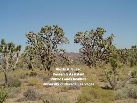 Alexis A. Suazo Research Assistant Public Lands Institute University of Nevada Las Vegas.