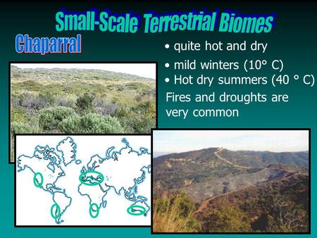 Quite hot and dry mild winters (10° C) Hot dry summers (40 ° C) Fires and droughts are very common.