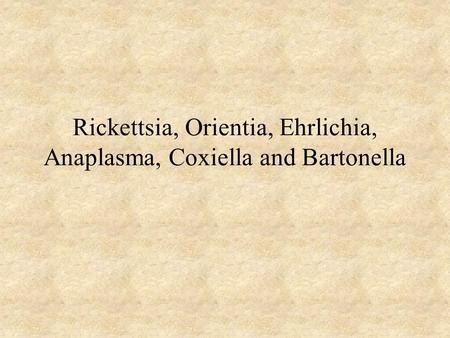 Rickettsia, Orientia, Ehrlichia, Anaplasma, Coxiella and Bartonella