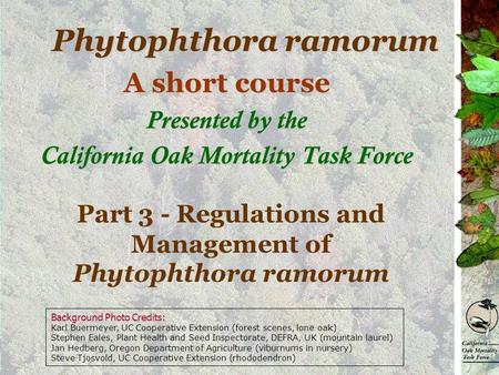 Phytophthora ramorum A short course Presented by the California Oak Mortality Task Force Part 3 - Regulations and Management of Phytophthora ramorum Background.