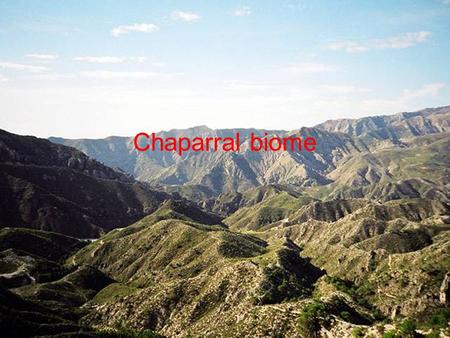 Chaparral biome. Chaparral biomes Chaparrals are Mediterranean climates which are moderately temperate biomes with hot to dry summers and mild to rainy.