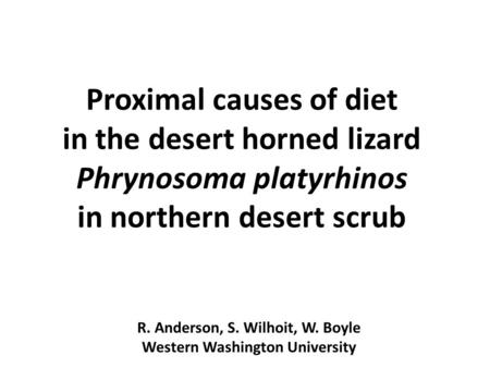 Proximal causes of diet in the desert horned lizard Phrynosoma platyrhinos in northern desert scrub R. Anderson, S. Wilhoit, W. Boyle Western Washington.