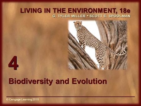 Biodiversity and Evolution