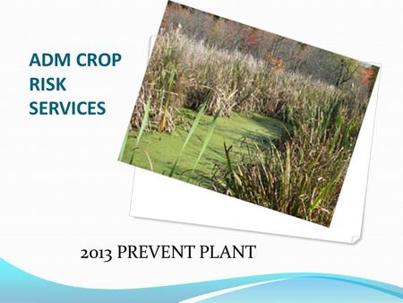 ADM CROP RISK SERVICES 2013 PREVENT PLANT. Definition of Prevent Plant Failure to plant the insured crop by the final plant date designated in the special.