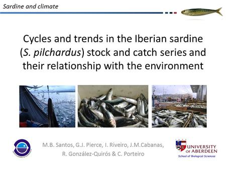 Cycles and trends in the Iberian sardine (S. pilchardus) stock and catch series and their relationship with the environment M.B. Santos, G.J. Pierce, I.