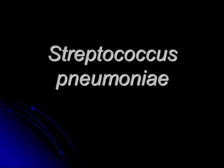 Streptococcus pneumoniae