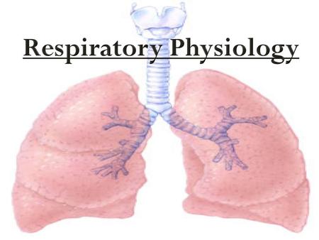 Respiratory Physiology