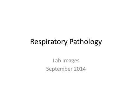 Respiratory Pathology