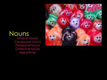 Nouns Kinds of Nouns Compound Nouns Possessive Nouns Collective Nouns