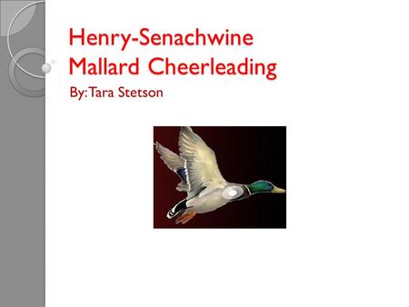 Henry-Senachwine Mallard Cheerleading By: Tara Stetson.