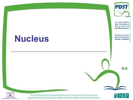 The Professional Development Service for Teachers is funded by the Department of Education and Skills under the National Development Plan Nucleus D.K.