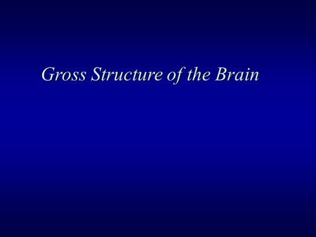 Gross Structure of the Brain