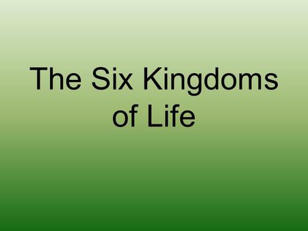 The Six Kingdoms of Life. EUBACTERIA This is a kingdom of single-celled prokaryotes that have been around in similar forms since the beginning of life.