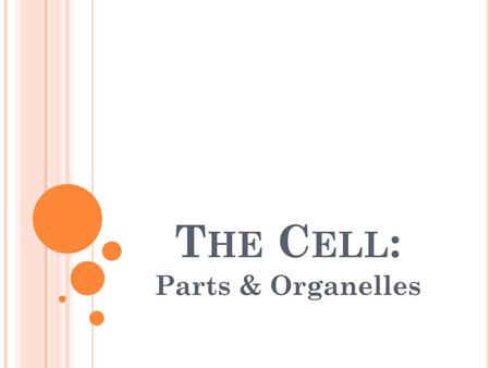 T HE C ELL : Parts & Organelles. O BJECTIVES To become familiar with the parts & organelles of a cell including: Cell Wall Cell Membrane Nucleus Nucleolus.