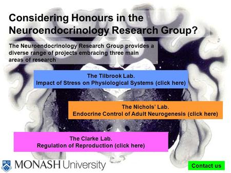 Considering Honours in the Neuroendocrinology Research Group? Contact us The Clarke Lab. Regulation of Reproduction (click here) The Nichols’ Lab. Endocrine.