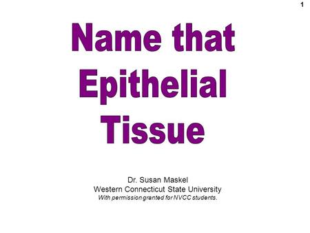1 Dr. Susan Maskel Western Connecticut State University With permission granted for NVCC students.