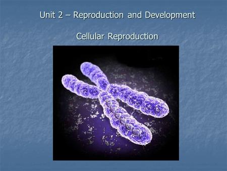 Unit 2 – Reproduction and Development Cellular Reproduction