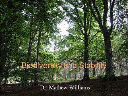 Biodiversity and Stability Dr. Mathew Williams. Complexity and stability Does a cellular process need all those processes? Must an organism have so many.