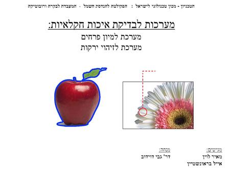 מערכות לבדיקת איכות חקלאיות: מערכת למיון פרחים מערכת לזיהוי ירקות הטכניון - מכון טכנולוגי לישראל : הפקולטה להנדסת חשמל - המעבדה לבקרה ורובוטיקה מגישים: