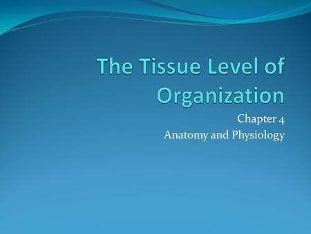 The Tissue Level of Organization