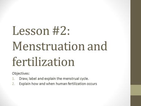 Lesson #2: Menstruation and fertilization