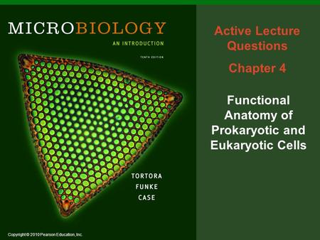 Active Lecture Questions Chapter 4