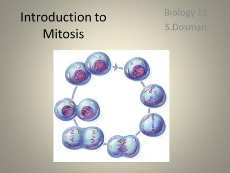 Introduction to Mitosis