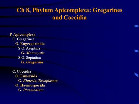 Ch 8, Phylum Apicomplexa: Gregarines and Coccidia