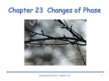 Chapter 23 Changes of Phase