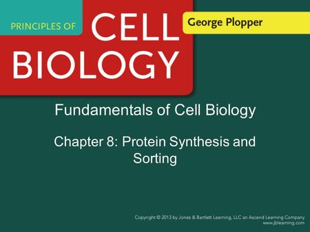 Fundamentals of Cell Biology Chapter 8: Protein Synthesis and Sorting.