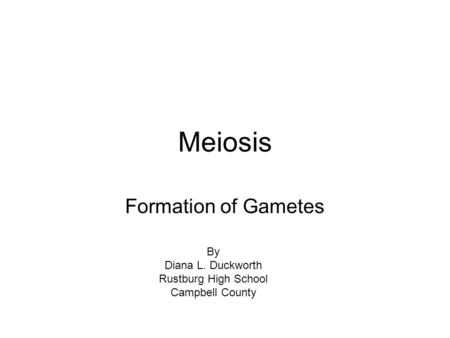 Meiosis Formation of Gametes By Diana L. Duckworth Rustburg High School Campbell County.