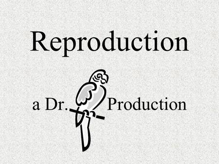 Reproduction a Dr. Production. Does a 5 year old boy have mitotic divisions occurring? Does a 5 year old boy have meiotic divisions occurring? Does a.