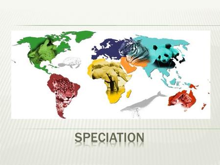 Speciation.