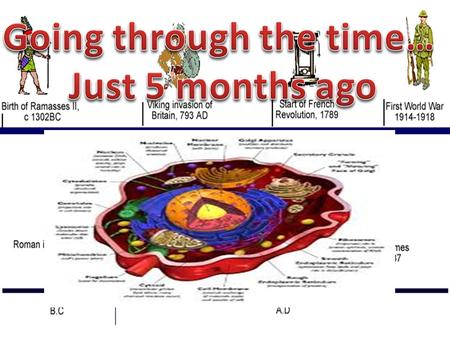 We were talking about the cell… The prokaryotes undergo a type of asexual reproduction called: binary fission.